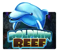 Dolphin Reef