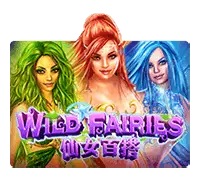 Wild Fairies